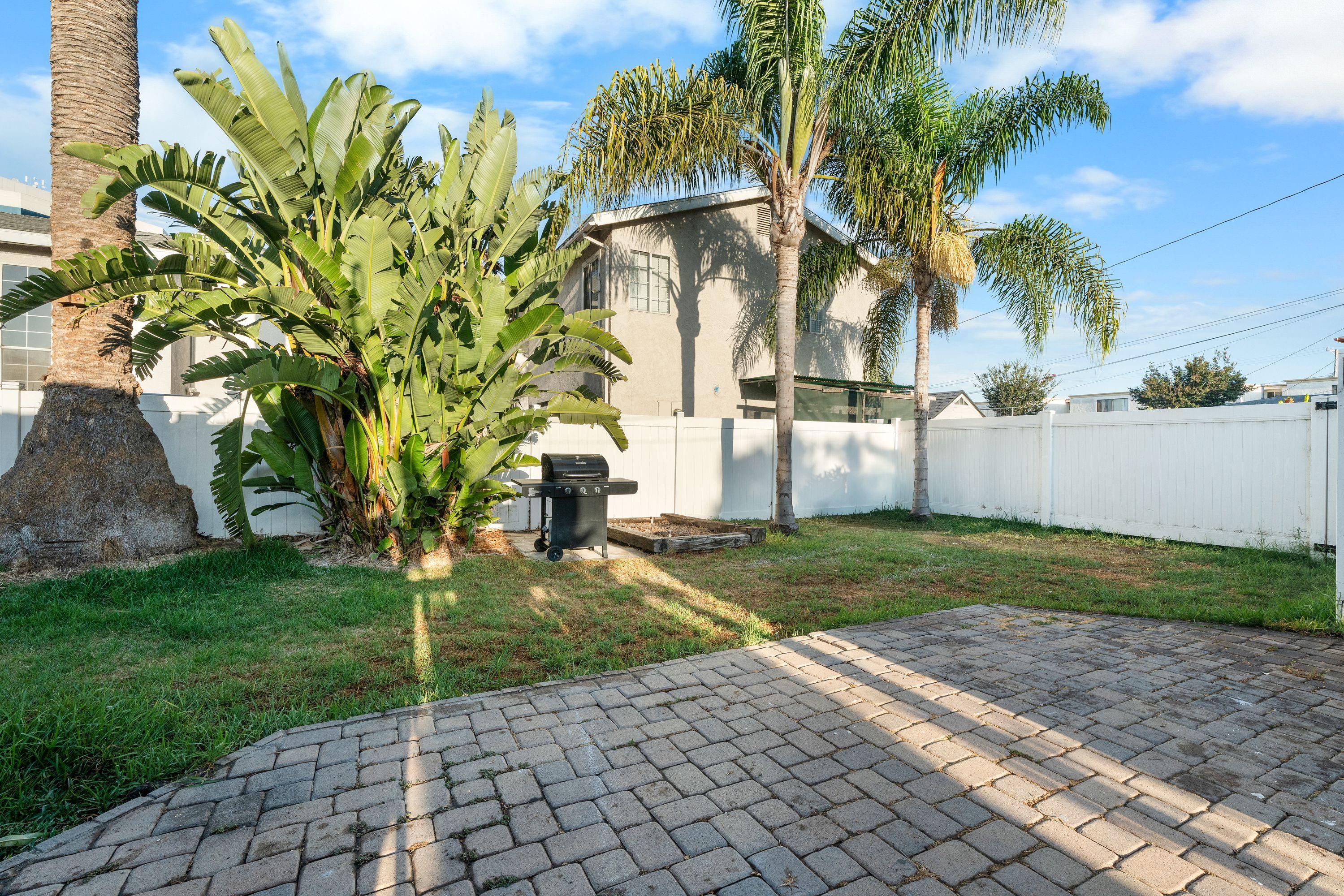 Backyard with palms and BBQ