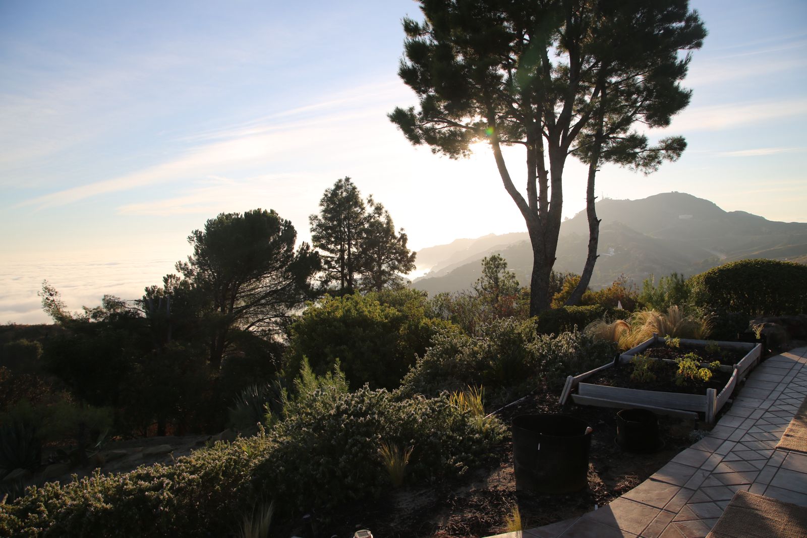 Garden terrace with cloud sea views at dawn — Casa Topanga